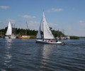 afb_80_56918.jpg